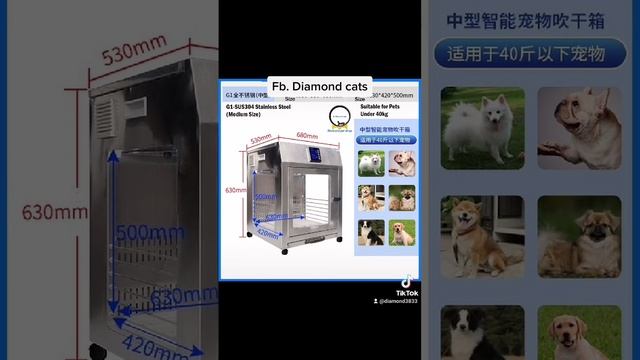 36°C Automatic Pet Cat Drying Box Pet Dryer Low Noise Gentle Dryer Grooming Room 智能全自动宠物吹干机 смотреть онлайн