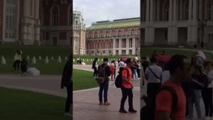 Гигантские деревья в парке Царицыно Москва