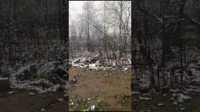 Продажа нового дома 👌👌👌Дом 7x8 🏡 В Великом Новгороде смотреть онлайн