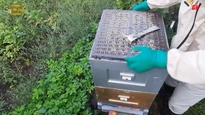 пчелоудалитель - необходимая вещь, пчеловодство