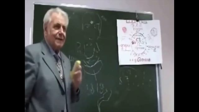 Как правильно соблюдать режим питания?  / Программа правильного похудения / Эндокринная система