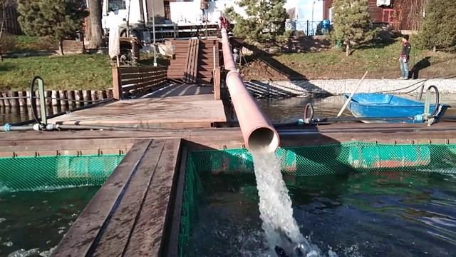 16 ноября 2021 г. смотреть онлайн