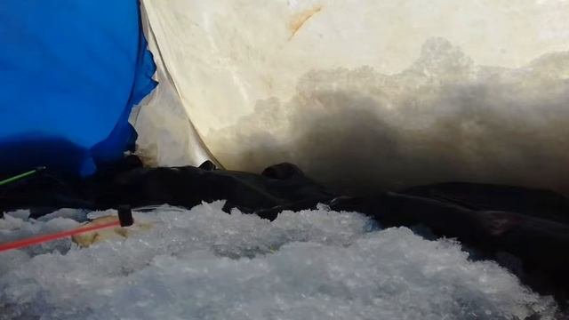 Рыболовные соревнования.РЫБАЛКА В ДЕРЕВНЕ Vs РЫБАЛКА С ВЛАДИМИРОМ.#Соревнования.