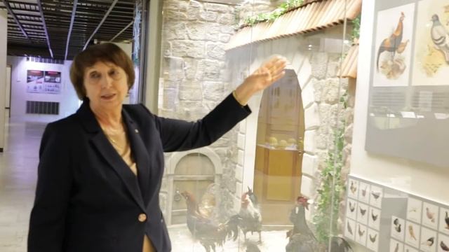 Директор Дарвиновского музея Анна Клюкина смотреть онлайн