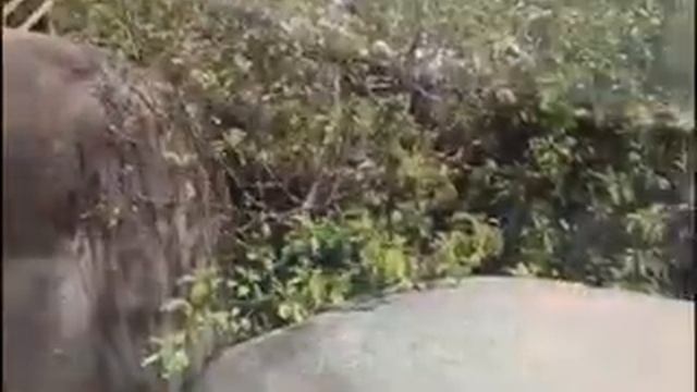 СИМИЛАНСКИЕ ОСТРОВА / ТАЙЛАНД