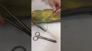 Швы и узлы (общая хирургия)