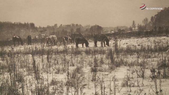 В музейно-выставочном центре состоялось открытие выставки фотохудожника Владимира Гришина смотреть онлайн