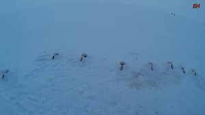 зимняя рыбалка необычный улов финский залив корюшка