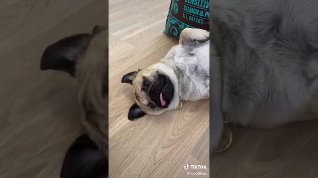 27 октября 2020 г. смотреть онлайн