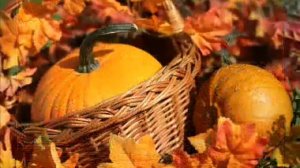 О ПОЛЬЗЕ ТЫКВЫ. СОСТАВ И ВИТАМИНЫ