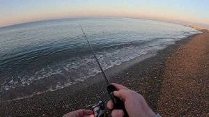 Рыбалка в Турции. Анталия (Белек)