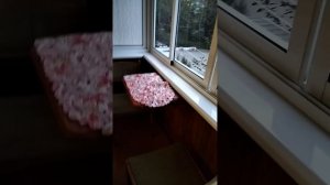 СЕВАСТОПОЛЬ.АРЕНДА 2Х КОМ.КВ.
УЛ АДМИРАЛА ЮМАШЕВА √ 26.2/5
+79782000584