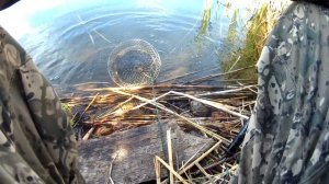 Рыбалка на поплавочную удочку в начале июня / Первая летняя рыбалка