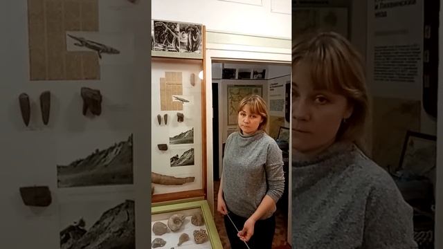 История одного экспоната Тулерпетон#тулакультура#вирусnet#музеитула#историяодногоэкспоната