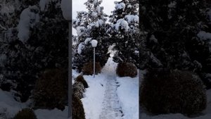 Лопата на колесах для чистки снега.