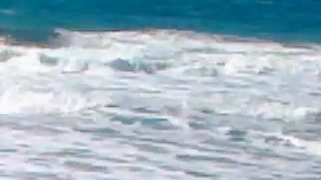 Адлер смотреть онлайн