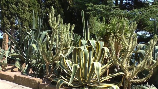 Крым. Парк Д/О “Айвазовское“ . смотреть онлайн