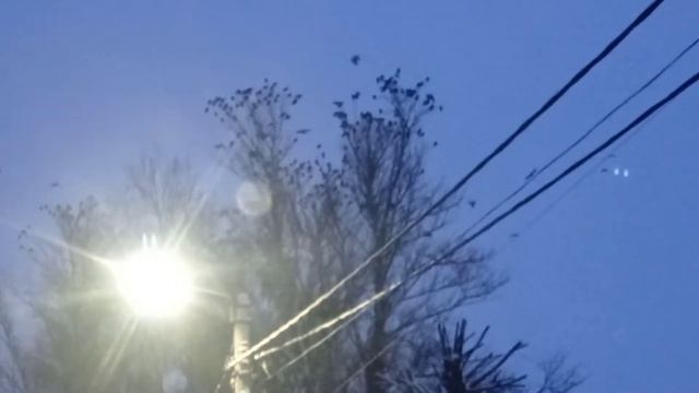 ЭКСКУРСИЯ!!! РЕПОРТАЖ!!! ОБЗОР!!! Город ШЛИССЕЛЬБУРГ!!! смотреть онлайн