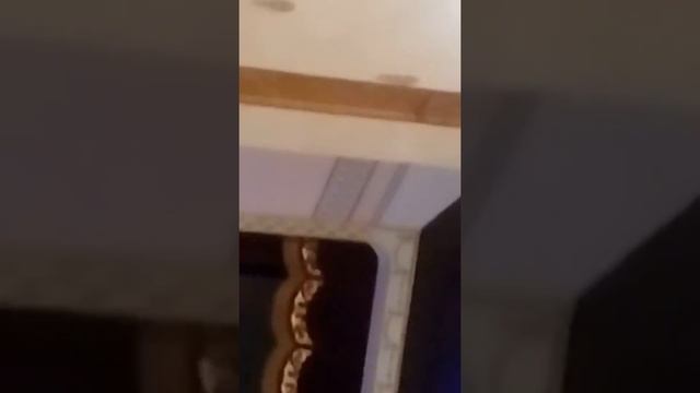 7 ноября 2017 г. смотреть онлайн