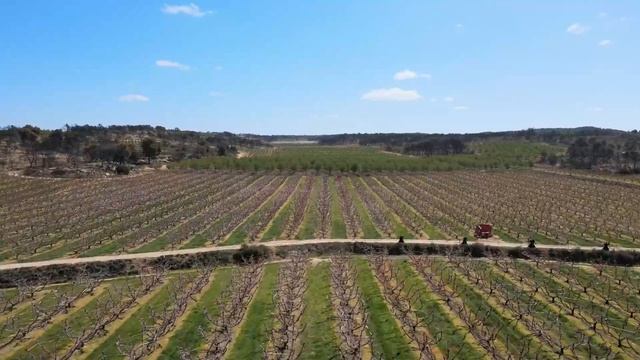 Système Antigel SIS® смотреть онлайн