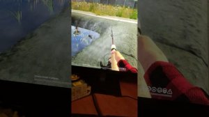 попал в штраф пруд.Русская рыбалка 4 .Пытаюсь поймать 100 кг рыбы.И выбить троф на штраф пруде.