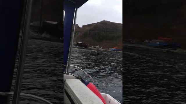 Ух ты мы вышли из бухты.. Уходим из Шелехово на Сев-Курильск. Парамушир Шелехово 28.10.2021 г