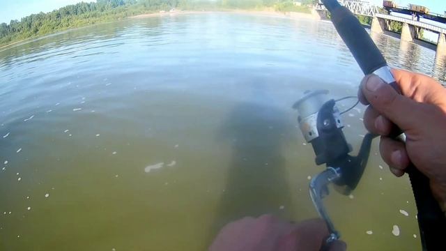 Китайский воблер не подвел отработал как всегда на 100