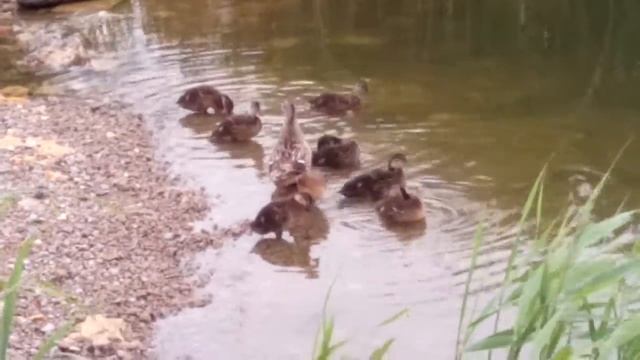 Нефтегавань Херсон 2020.05 смотреть онлайн