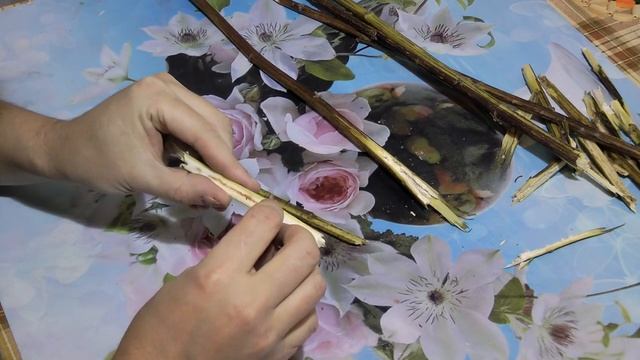 Личинка репейной моли для зимней рыбалки.