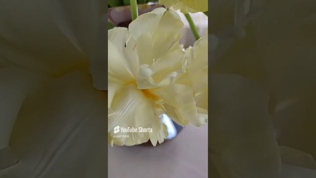 Чарующая нежность!