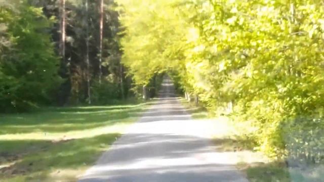 С ветерком по Беловежской Пуще смотреть онлайн