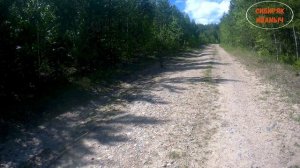 Заяц вс Охотник