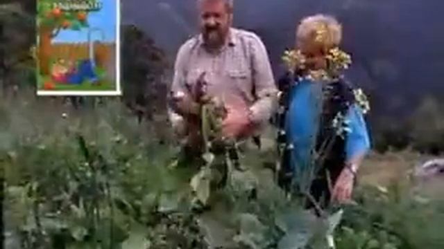 Наша еда   наша беда! — Видео@Mail Ru2