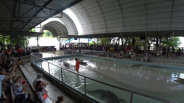 крокодиловая ферма смотреть онлайн