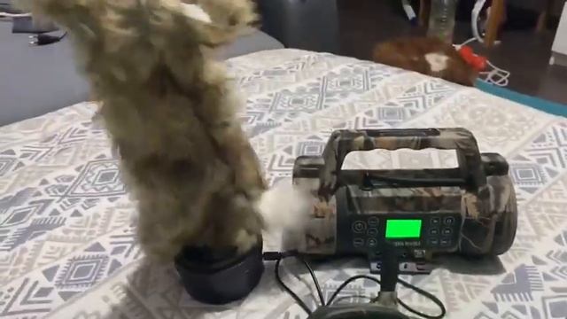 электронный манок Western rivers Game Stalker Pro (аудио с визуальной приманкой) смотреть онлайн