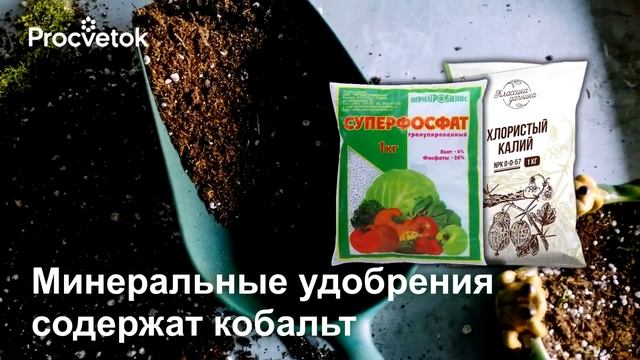 РАСТЕНИЯ ЗАЧАХНУТ БЕЗ КОБАЛЬТА! Минеральное питание растений без удобрений смотреть онлайн