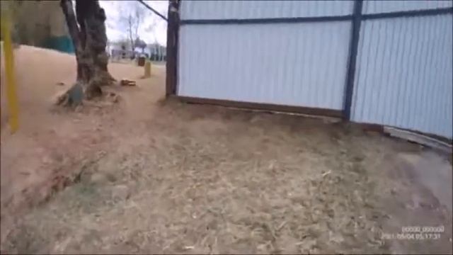 в сквере "Лебедь" на Химкинском смотреть онлайн