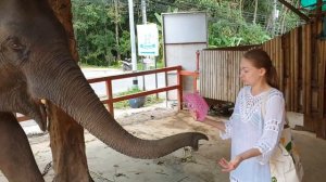 Ням-ням на Пхукете. Экзотический Таиланд