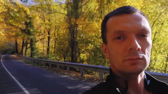 Лес. Лазаревское. 10 ноября