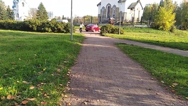 Пулковский парк в видео обзор выпуск 2 октября 2020 смотреть онлайн