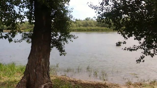 РЫбалка на дону 2017г 1 смотреть онлайн