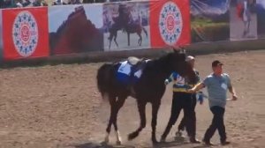 Ат чабыш Нооруз 2018