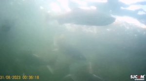 Камчатка ,работа моряком.