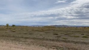 Золотая Осень. Облепиховые сады. Природа Байкала.