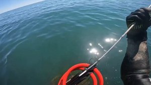 Подводная охота сочи