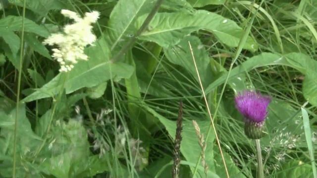 Поймать слово смотреть онлайн