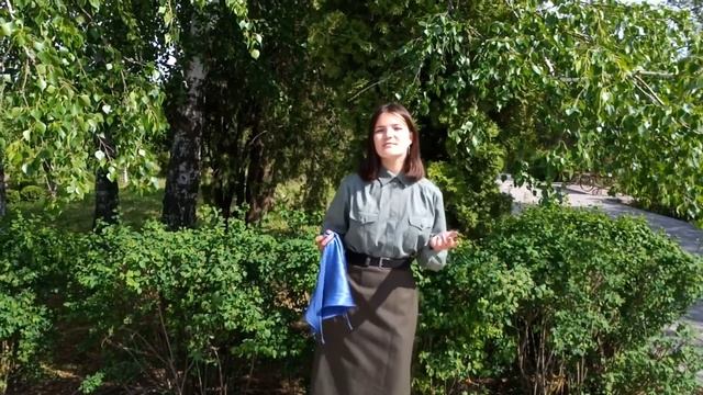 Акция "Синий платочек" смотреть онлайн