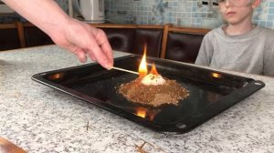 Живые змеи в домашних условиях - Опыты