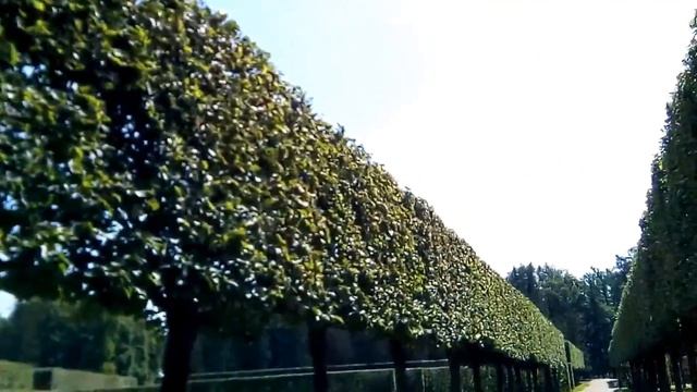 ЦАРСКОЕ СЕЛО 2019 // САНКТ-ПЕТЕРБУРГ // ЧАСТЬ 1 смотреть онлайн