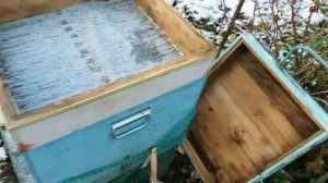 пчеловодство, СЛЁТ ПЧЁЛ